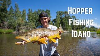 FLY FISHING LATE SUMMER HOPPERS IN IDAHO