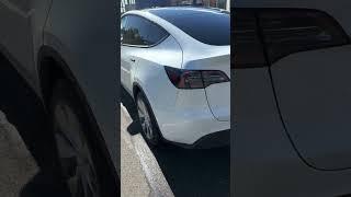 Erste Hauptuntersuchung beim Tesla Model Y