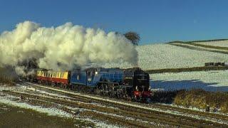 60532 'Blue Peter' In The Snow ! The Christmas White Rose