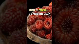 산딸기 100g, 이래서 슈퍼푸드였어요#산딸기 #슈퍼푸드 #중년건강 #항산화 #피부건강