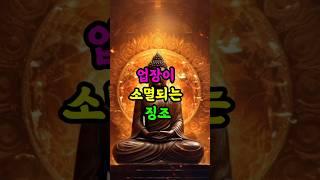 #부처님말씀 #불교명상 #업장소멸 #명언 #자기수행 #불교오디오북 #불교말씀