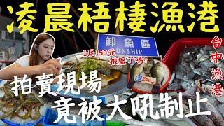 【台中】凌晨三點梧棲漁港、千萬不要來嚇爛！拍賣現場竟被大吼制止！鱸魚一尾150、被盤了嗎？魚市竟被當地人調侃 但背後原因超感人    ｜三歲半