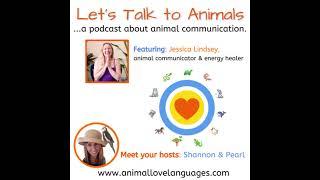 Let's Talk to Animals with Shannon Cutts and Jessica Lindsey