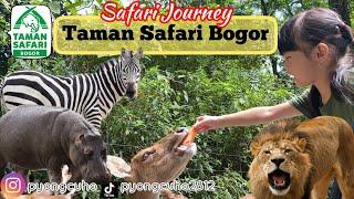 Taman Safari Bogor | Taman Safari Bogor Terbaru