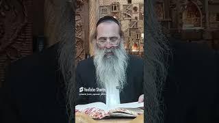 הרב יוסף אביטל שליט"א - הלכות שולחן ערוך.