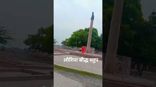 #shorts #ytshorts #trandingshorts  Wait for end    Mr Avinash Arya