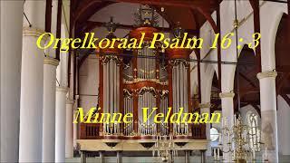 Minne Veldman | Psalm 16 | Hanno Bosch orgel Martinikerk Franeker