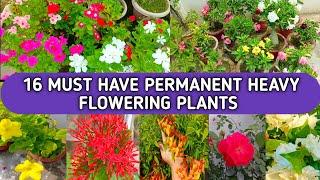 16 MUST HAVE PERMANENT HEAVY FLOWERING PLANTS FOR INDIAN HOME GARDEN | HEAVY FLOWERING PLANTS TO OWN