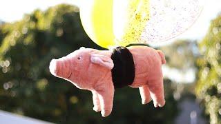 Flying Pig Song (Porky with Balloons)