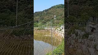 84번) 신축 전원주택 2채 매매 010 3809 0318 경북 봉화군 공기좋고 살기좋은 시골집 시골동네 #봉화부동산 #봉화촌집