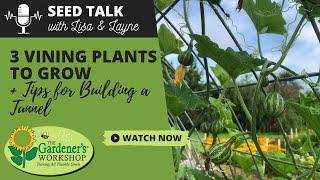 Seed Talk #90 - 3 Vining Plants to Grow Plus Tips for Building a Tunnel