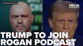 Trump to join Joe Rogan podcast, Harris won't-campaign says VP is still targeting big name podcasts