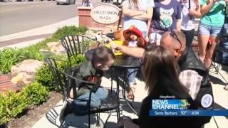 Make A Wish Foundations Helps Boy's Wish Come True