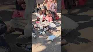 teniyo ramta #https #cutebaby #shorts #shortsfeed #subscribe #yutikaofficial #trending #youtube