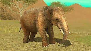 Wild Elephant Sim 3D Android Gameplay #9