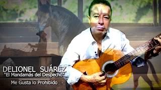 Delionel Suárez - Me Gusta lo Prohibido - Video Fotos - Musical - Popular - Despecho - @TVdigital