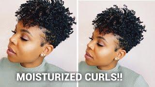 - “Sky Organics” moisturized curls for  | Dry Natural Hair! |