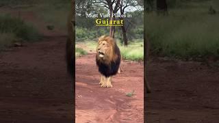 Must Visit Places in Gujarat 