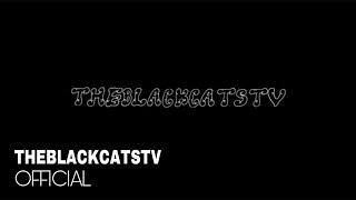 THEBLACKCATSTV