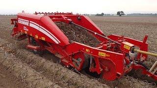 GRIMME WR 200 | Windrower for potatoes | 2-row