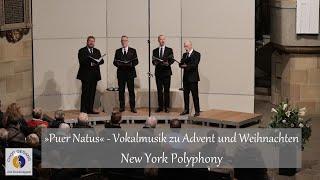 »Puer Natus« — Vokalmusik zu Advent und Weihnachten | New York Polyphony