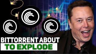 WARNING! from Elon Musk to BitTorrent Coin Holders. BitTorrent Price Prediction 2022