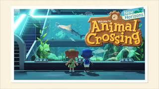 10 Hours of Blather's Museum "Fish Exhibit" Music from Animal Crossing: New Horizons