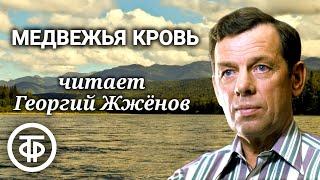 Виктор Астафьев. Медвежья кровь. Рассказ читает Георгий Жженов (1987)