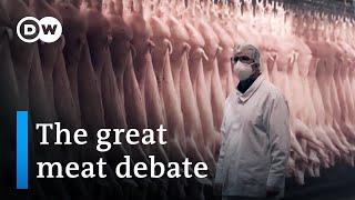 Factory farming, animal welfare and the future of modern agriculture | DW Documentary