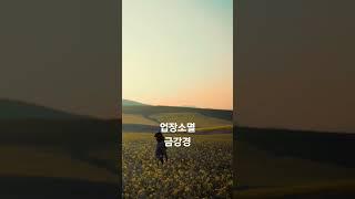 업장소멸 금강경 영인스님 #금강반야바라밀다심경 #불경 #염불 #매일기도 #buddha #healing #relax