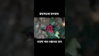 2025년 6월 18일