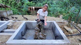 Full VIDEO: 150 days of building a Farm alone, the process of building a complete Aquarium