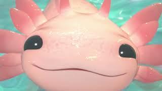 1 Bit 2 Bit 4 Bit 8 Bit 16 BIT 32 Bit 128 Bit 256 Bit 512 Bit 1024 Bit 2048 Bit 4096 Bit #axolotl