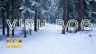 VIRU BOG, HIKING TRAIL, ESTONIA, 4K, DRONE #drone #snow #4k #winter #hikingtrails #estonia