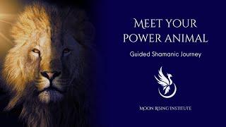 Guided Shamanic Journey: Meet Your Power Animal!