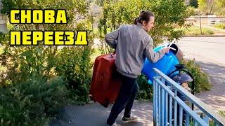 61. Переезд в РФ / СВЕРШИЛОСЬ! / Заезжаем в свою квартиру / С кошками на автобусе