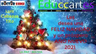 Felices Fiestas de Fin de Año 2020