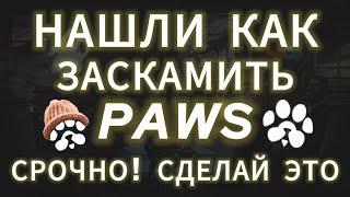 НОВЫЕ УСЛОВИЯ ДРОПА PAWS! СДЕЛАЙ ЭТО ЧТОБЫ ПОЛУЧИТЬ AIRDROP ТОКЕНА ПАВС ЛИСТИНГ НА БИРЖУ КРИТЕРИИ