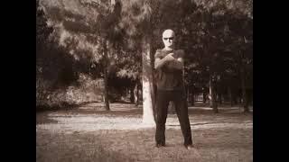 LEARN SPEED TAI CHI WITH THE TEAPOTMONK