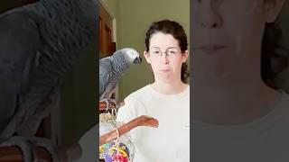 How to Train Your Parrot 