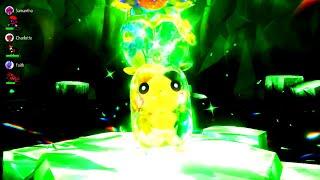 Morpeko-05-Grass[Pokemon SV ⁶Tera Raids]⁰⁸¹ᵉ