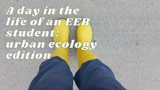 A day in the life of an Ecology and Evolutionary Biology student  | University of Helsinki