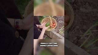 Homestead Healing & Harvesting
