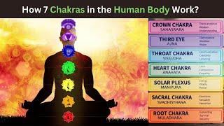 How 7 Chakras Work in Human Body - Vastu Tips by Dr. Vaishali Gupta, Vastu Expert