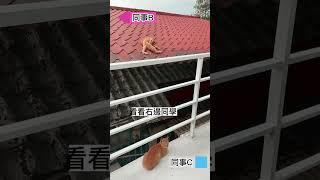 補班日...嚐到眾人皆醉我獨醒的滋味#補班 #補班日常 #沒放假