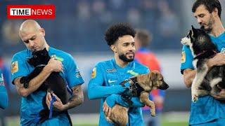 Russian football team wins hearts after walking on field with shelter dogs | Video goes viral