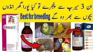 Best vitamins,Minerals and Calcium for birds breeding | australian parrots breeding medicine