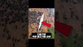 다슬기 5천마리를 1시간만에 잡는 꿀팁