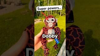 He Has SUPER POWERS… #gorillatag #vr #shorts