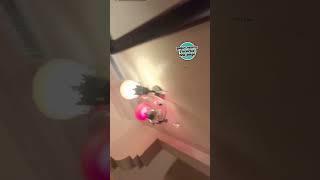 Bri Olsen and Vale fighting #vale #briolsen